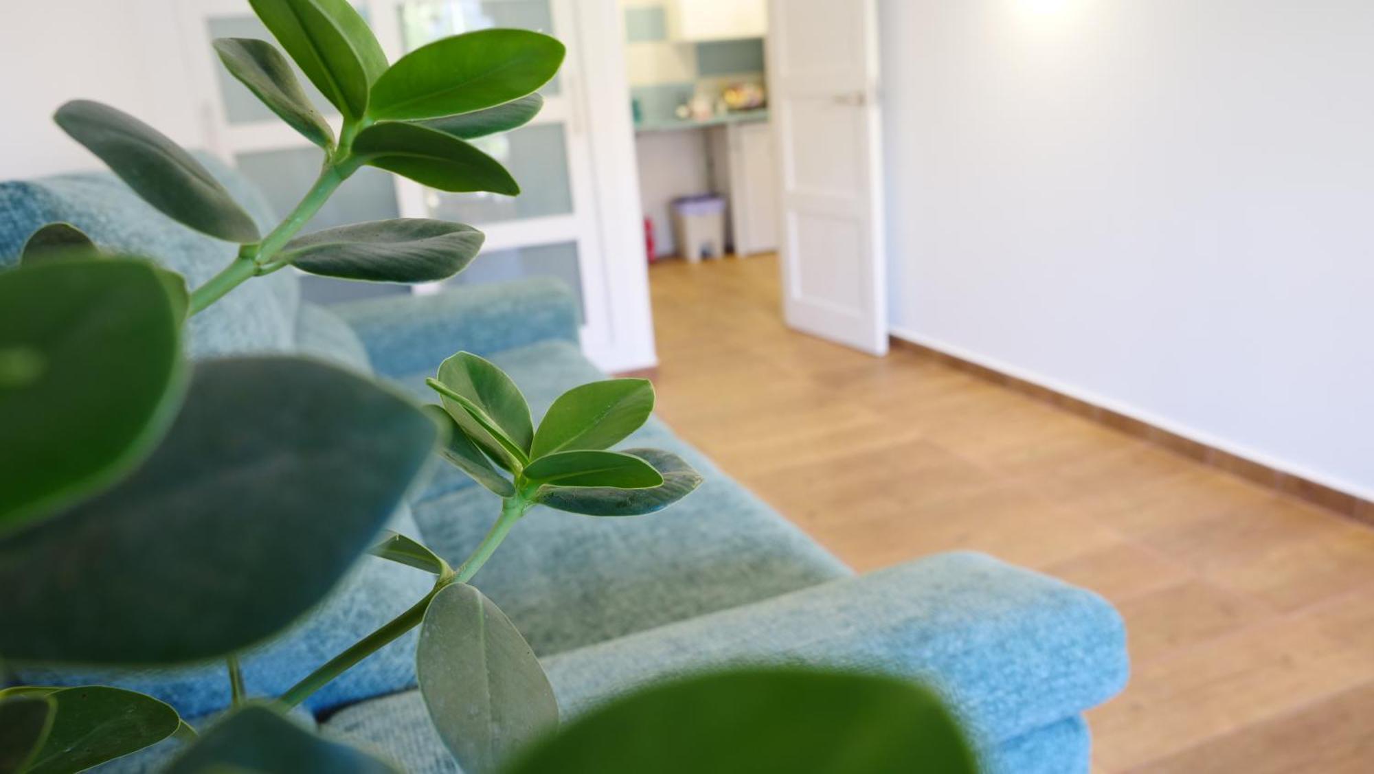 Tuerkiz Kanaan Apartman Puerto de Santiago  Kültér fotó