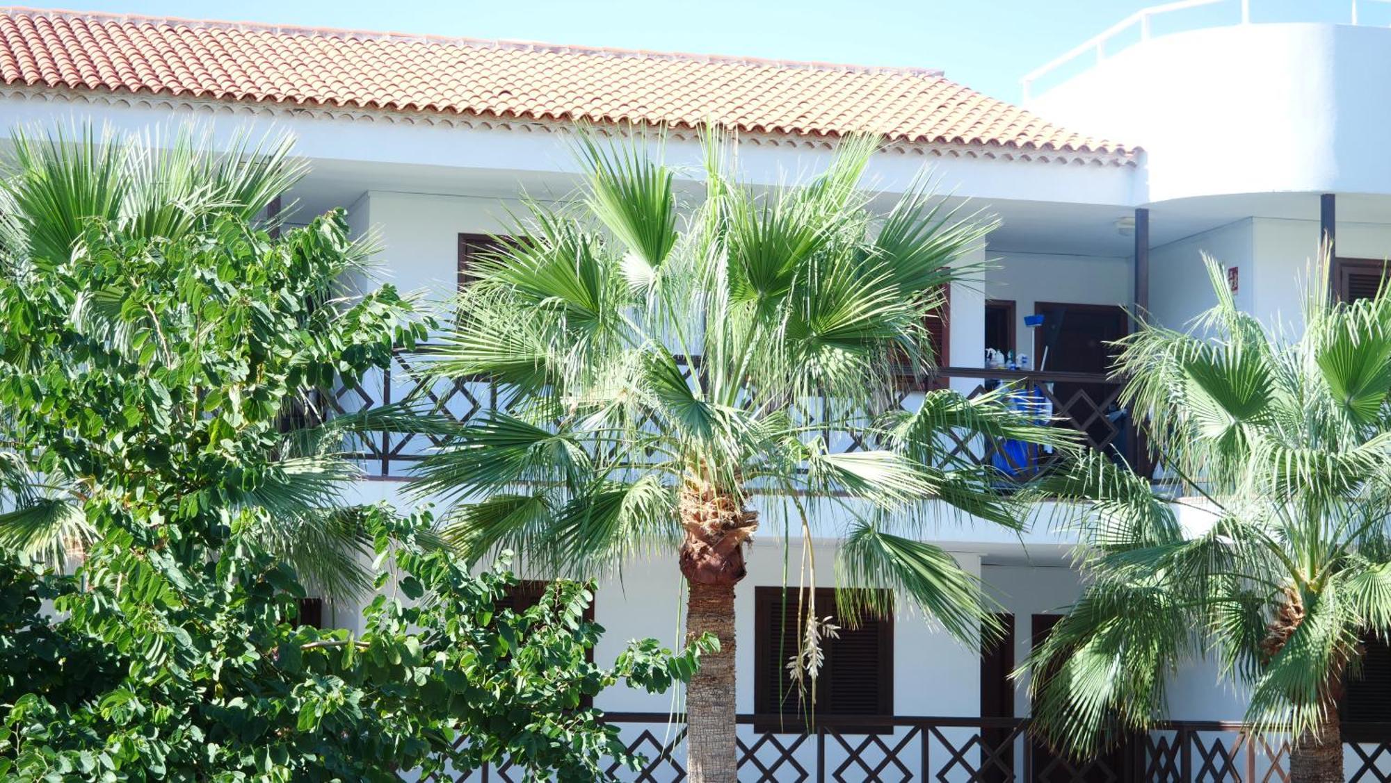 Tuerkiz Kanaan Apartman Puerto de Santiago  Kültér fotó